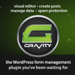 GravityForms Gravity Forms WordPress Theme