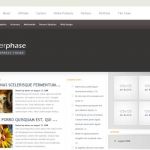 ElegantThemes InterPhase WordPress Theme
