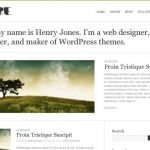 ThemeTrust Pure WordPress Theme