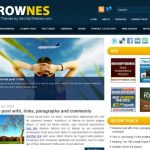 NewWpThemes Strownes WordPress Theme
