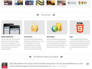 portofolio theme