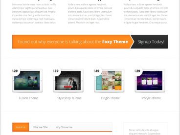 foxy-elegantthemes theme