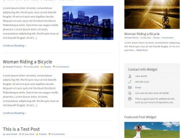 wp-brilliance theme