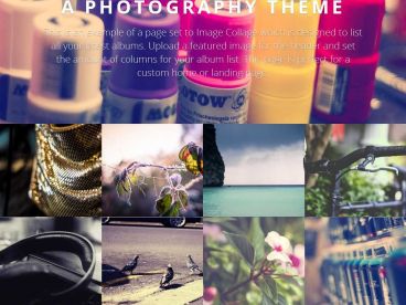 photogenic theme