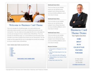 biz-card theme