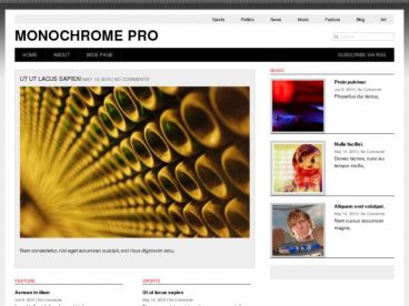 monochrome-pro theme