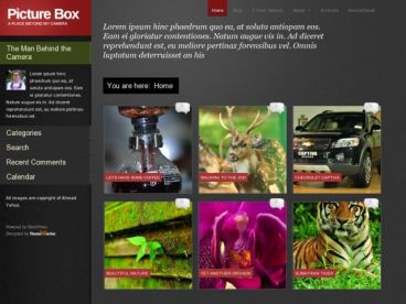 picture-box theme