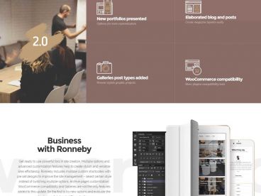 dfdevelopment-ronneby theme