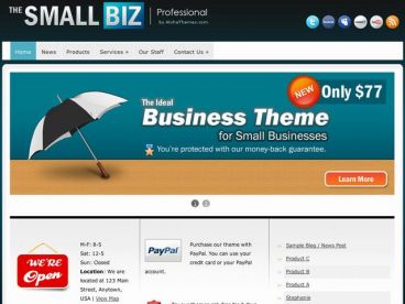 thesmallbiz theme