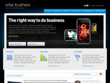 wisebusiness theme