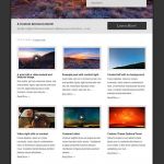 Press75 Debut WordPress Theme