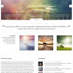 ElegantThemes Evolution WordPress Theme