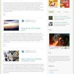 ThemesKingdom Query WordPress Theme