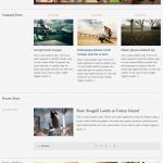 WPZoom Pulse WordPress Theme