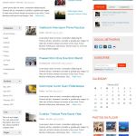 ColorlabsProject Neu WordPress Theme