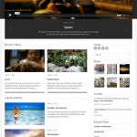 cssigniter Vidiho WordPress Theme