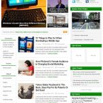 ThemeJunkie Resizable WordPress Theme