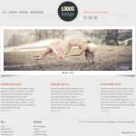 VivaThemes Lodos WordPress Theme