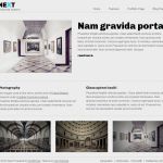 VivaThemes Next WordPress Theme