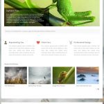 WordPressThemeX MaelStorm WordPress Theme