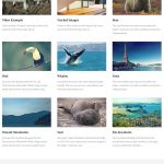 AuthenticThemes Adaptive WordPress Theme