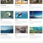 AuthenticThemes Adaptive WordPress Theme