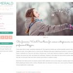 BluChic Emerald WordPress Theme