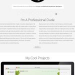 OrganicThemes Profile WordPress Theme