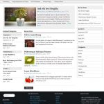 ProThemeDesign Opti WordPress Theme