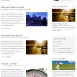 SoloStream WP-Brilliance WordPress Theme