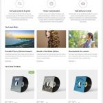 AuthenticThemes Function WordPress Theme