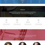 TeslaThemes Display WordPress Theme