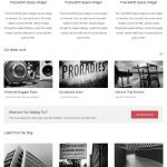 ThemeShift deLaila WordPress Theme