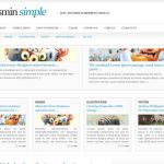 Acosmin AcosminSIMPLE WordPress Theme