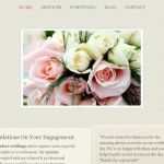 VooshThemes Adana WordPress Theme