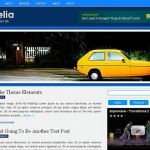 Anonymous Arcelia WordPress Theme