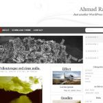 Anonymous ART-MAGAZINE WordPress Theme