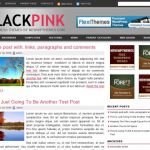 NewWpThemes Black Pink WordPress Theme