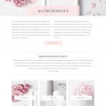 BluChic Quinn WordPress Theme