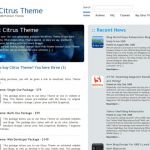 Anonymous Citrus Theme WordPress Theme