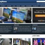 ThemeWarrior BreakingNewz WordPress Theme