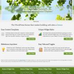 SimpleThemes Breeze WordPress Theme