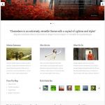 ElegantThemes Chameleon WordPress Theme