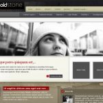 ElegantThemes ColdStone WordPress Theme