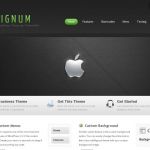 ThemeShift DeSignum WordPress Theme