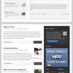 WooThemes Diarise WordPress Theme