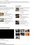 WPZoom Editorial WordPress Theme