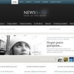 ElegantThemes eNews WordPress Theme