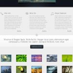 ElegantThemes Envisioned WordPress Theme