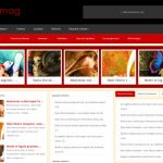 ElegantThemes GrungeMag WordPress Theme